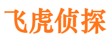 北塘市调查取证